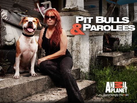 Pit Bulls & Parolees .